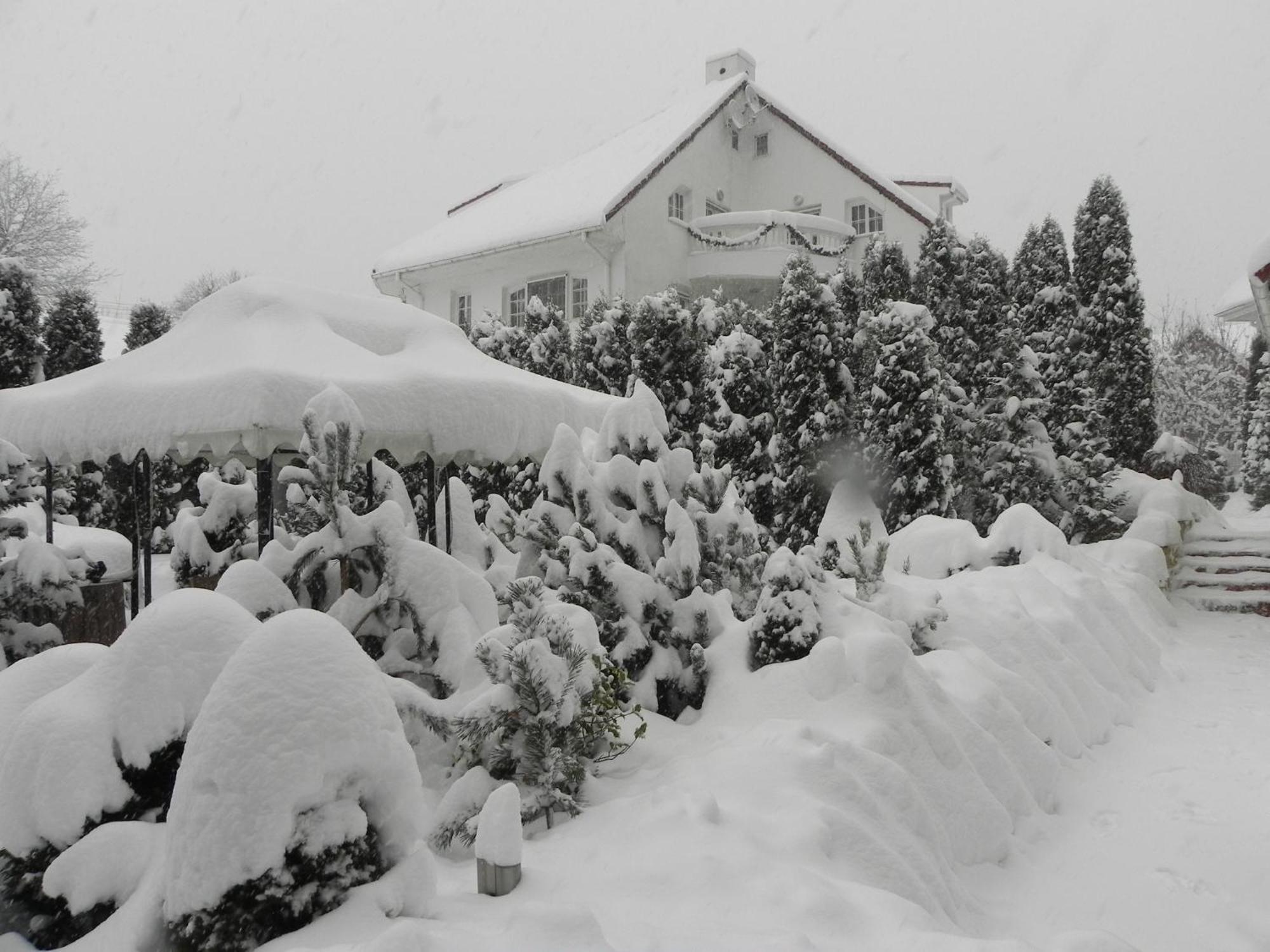 Club-Austria Residence (Adults Only) Buşteni Exterior foto