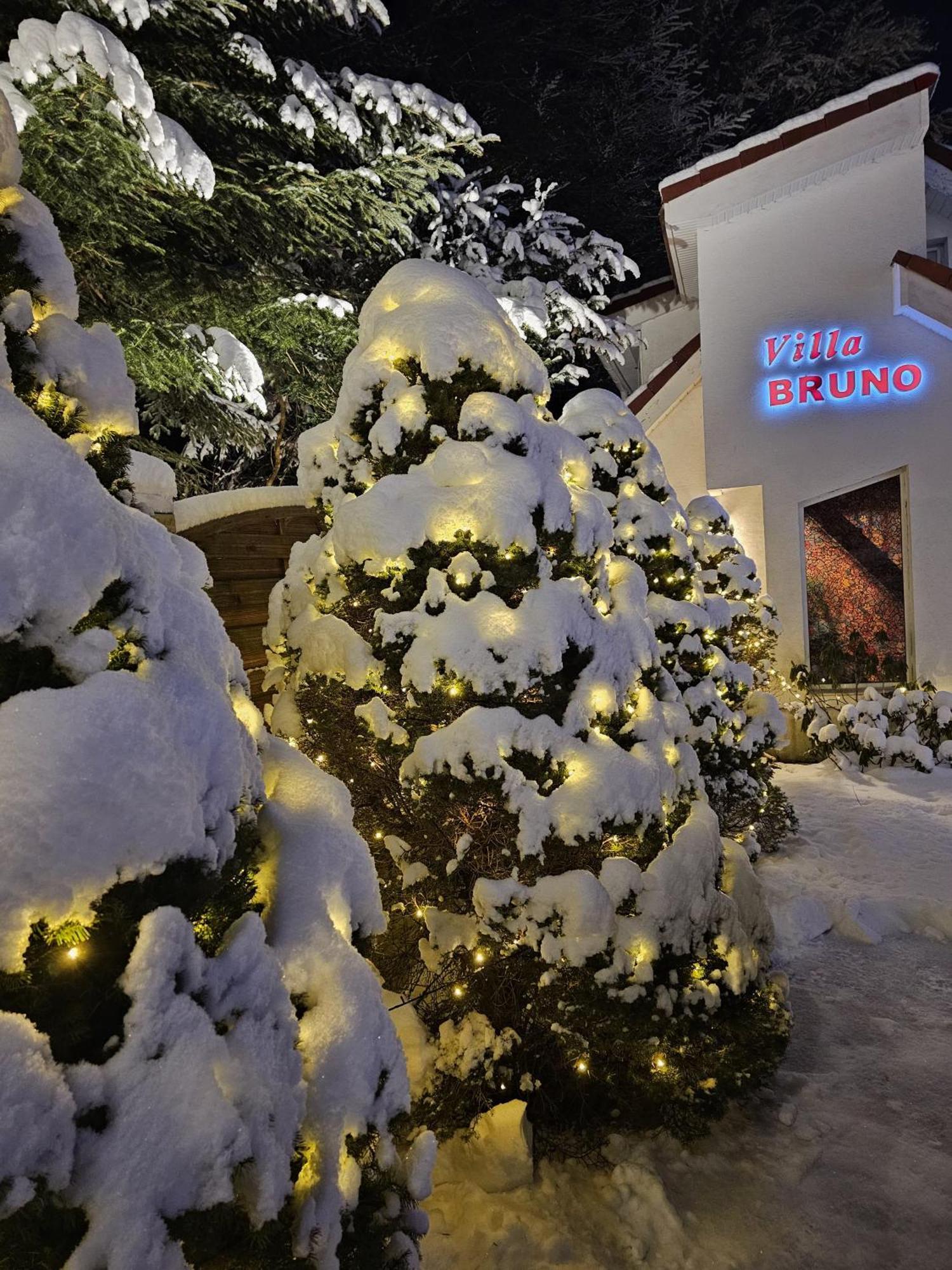 Club-Austria Residence (Adults Only) Buşteni Exterior foto
